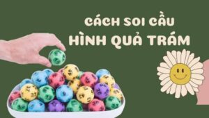 8 Bi Kip Soi Cau Lo Hinh Qua Tram Chuan Xac – Kinh Nghiem Thuc Chien